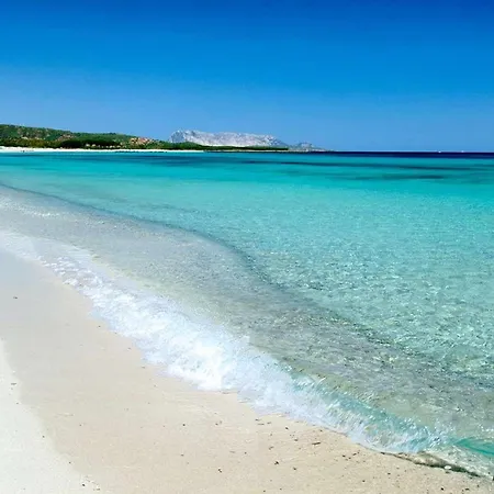 Appartement Brezza Marina *