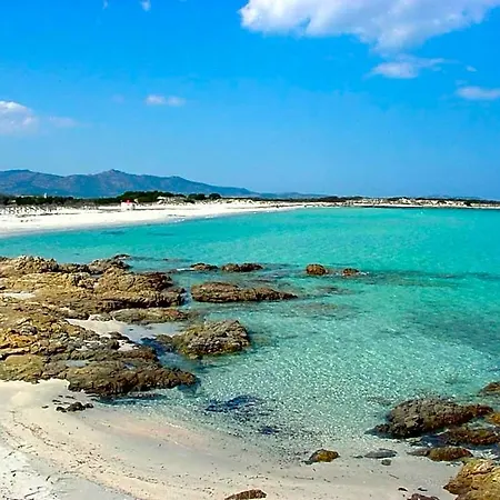 Brezza Marina *
